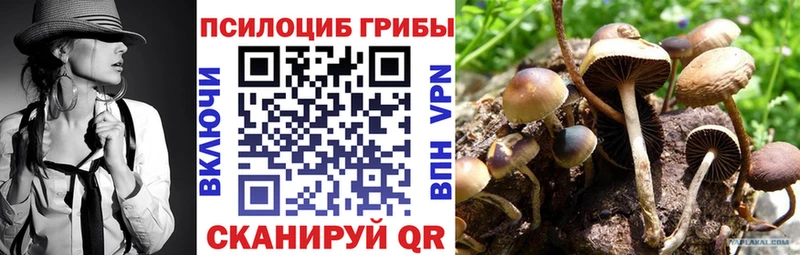 Купить закладки  Сыктывкар  Галлюциногенные грибы мухоморы 